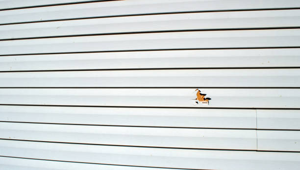 Best Aluminum Siding Installation  in Chester, VA