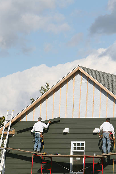 Best Stone Veneer Siding  in Chester, VA