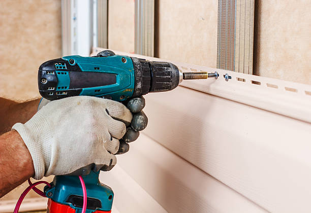 Best Historical Building Siding Restoration  in Chester, VA